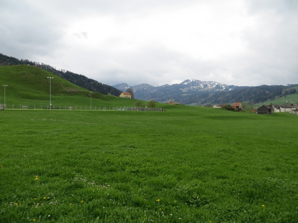 Keep the goal always in sight.