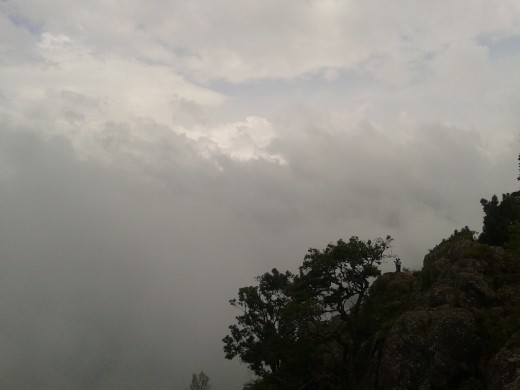 In the clouds # Ooty- India