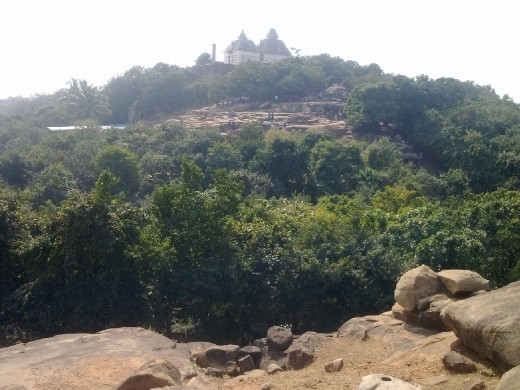 A view of the top # Bhubaneshwar-  India