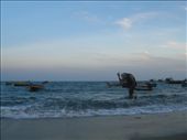 Ecstasy # Bay of Bengal - India: by wandererlyf, Views[205]