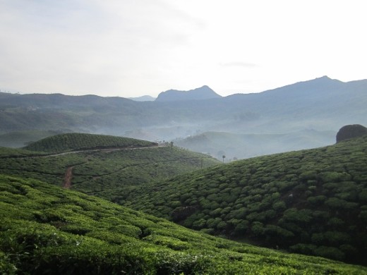 Beautiful landscapes # India