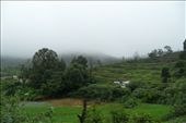 Stunning view of a village from toy train # Ooty India: by wandererlyf, Views[301]