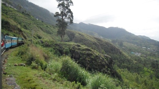 Toy Train # Ooty - India