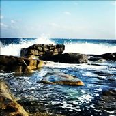 by wanderingpoet, Views[130]