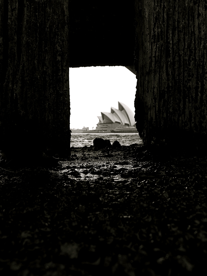 Old Wood and Stone looking at New Wood and Stone.