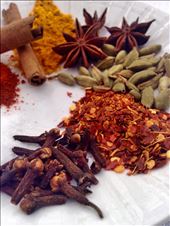 Assortment of Spices for the Koththu: by wanderingsrilankan, Views[459]