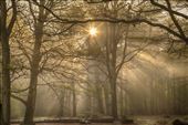 Fingers of god: by wanderingstar, Views[336]