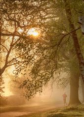 Early Morning Jog: by wanderingstar, Views[220]