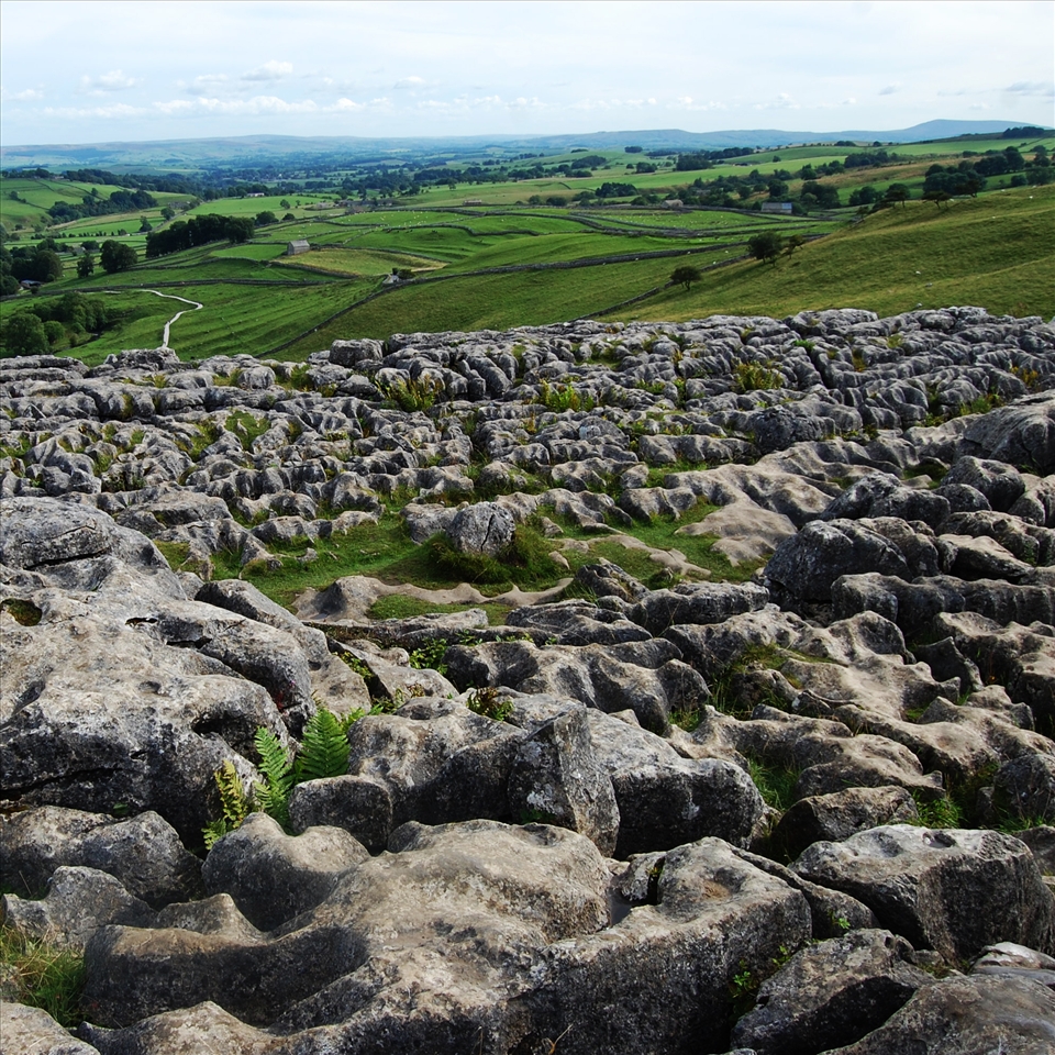 Sculpting the landscape