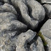 Soften Rocks: by wanderlust-dreamer, Views[326]