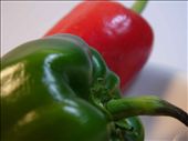 red and green bell peppers: by wanderlustfilmmaker, Views[763]