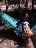 Hammock fun in Punta del Diablo with the pup: by wanderlustkiera, Views[298]