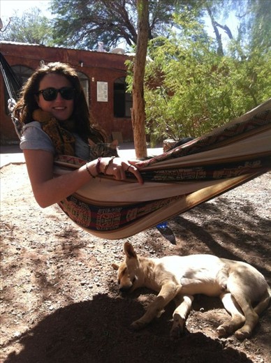Relaxing with the local dogs and cats of San Pedro de Atacama, Chile