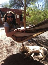 Relaxing with the local dogs and cats of San Pedro de Atacama, Chile: by wanderlustkiera, Views[480]