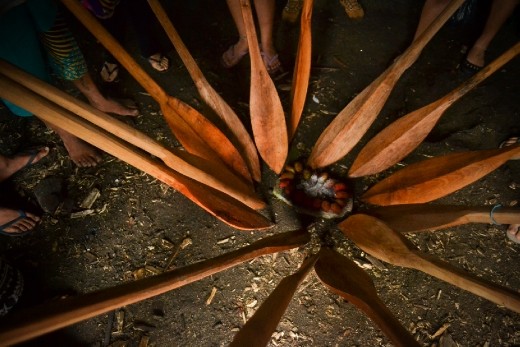 It all began on 31 June with a gathering of 14 people on the Island of parts. Overnight organize the food that we would eat and load during the next 15 days, and also the clothes that we raised to be donated to the traditional community during the trip.
We got to the paradise and desert island of Bananas. Unloading the luggage we had another surprise: everything was wet. Our lodge in a cave, made fire and Renato presented in the script of the trip. We made a circle and talked, each was given a new name, dined and slept inside the cave. From there it would be so cold bath, toilets rare, little comfort, but very challenging and learning.

Almost always paddled endlessly until the doors of a community hidden in the mangroves or the arms of a river, in the woods or on top of a hill. The canoe trip requires one of the integral absolute detachment. The hours of rowing varied independently of weather conditions (sun, rain, cold or wind) or the human condition, sometimes felt hungry, some people got sick and tired took care of us all.