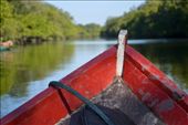 Were approximately 150 km traveled rowing and sailing in canoes carved from a single wood trunk. The expedition had 15 stops, among these, eight communities. Traveled inlets, bays and rivers shaped maze, isolated places impossible to be visited without the presence of a native.
Woke up, anxious and apprehensive, at 5 pm on July 1 with a rain and a rousing uplifting cold. We went towards the beach and getting there we encounter six canoes, we were surprised that we had to build our candles using sheets, ropes and bamboos. Cell phones off, no clocks or expectations, one stroke sufficed for the journey begin.
: by wanderlustmind, Views[698]