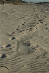 Stepping through the sands: by warrenbredenhann, Views[154]
