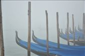 The tipical fog over the gondole which are waiting for their passengers: by water, Views[387]