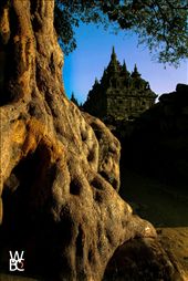 by wawanbc, Views[259]