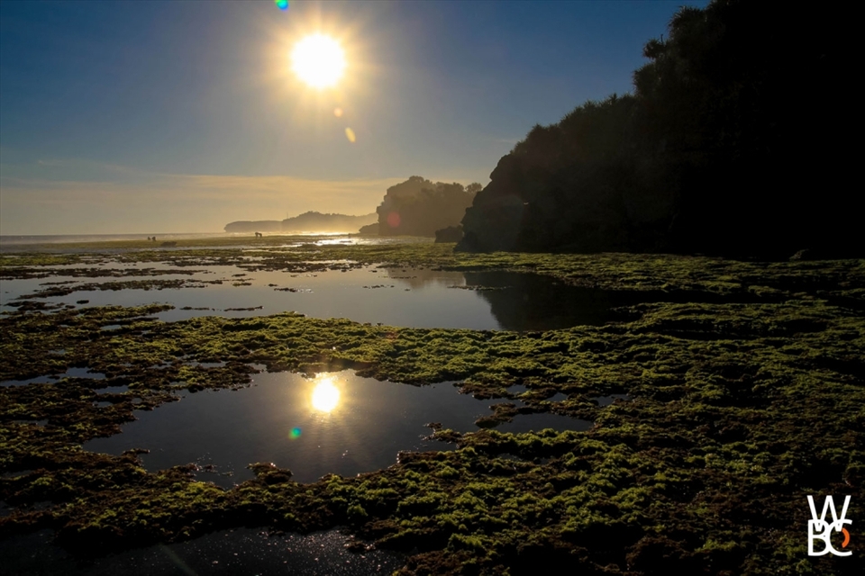 The low tide at Drini Beach, Java Island leaves nothing but an out of this world, surreal, and extraordinary landscape. 
