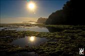 The low tide at Drini Beach, Java Island leaves nothing but an out of this world, surreal, and extraordinary landscape. : by wawanbc, Views[653]