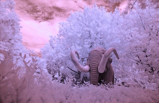 Wayne Quilliam photographs Europe in InfraRed