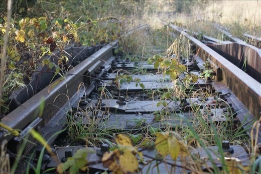 There are dreams that stand the test of time, dreams with uncertain future.- May