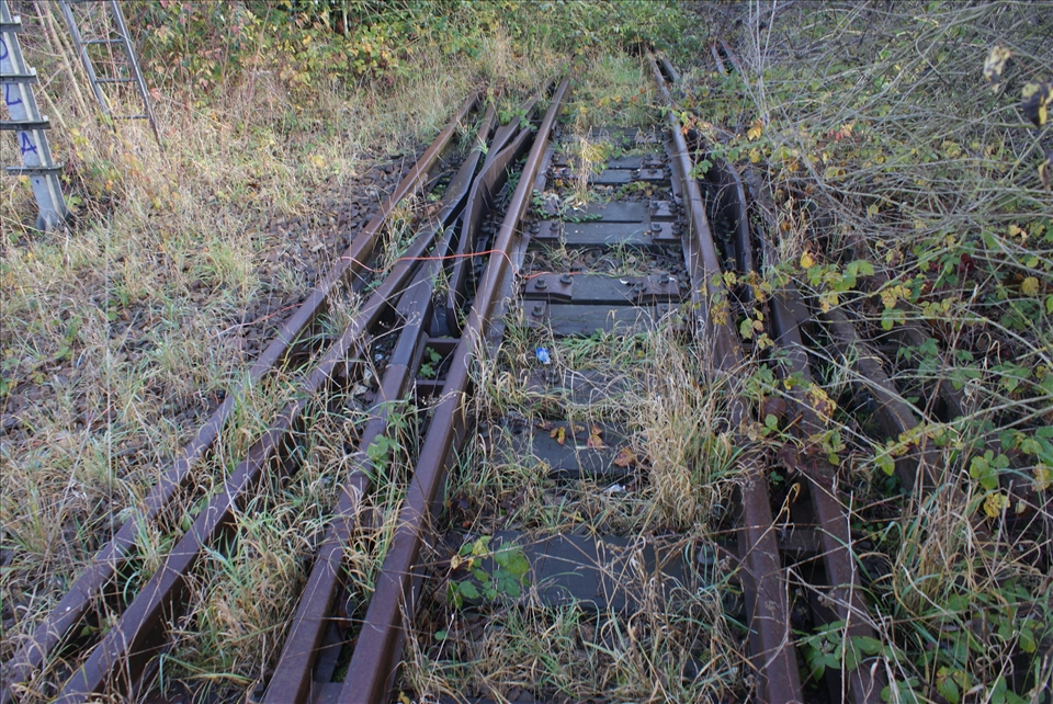 From the past to the future, lost in translation. Where are we going? Where is t