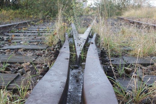 Wrong or right, is your decision, take advantage of it.- In this world you shoul