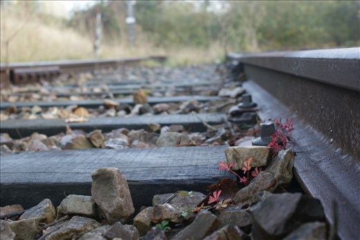 The road is long, but is not about arriving at the end, is about enjoying all de