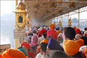 Golden pillars, lanterns, and fans surround worshippers at the Golden Temple.: by webryan, Views[276]