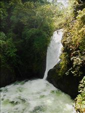 by wednesday, Views[113]