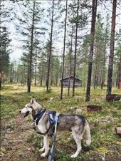 by welcometomyworld, Views[207]