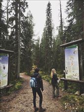 by welcometomyworld, Views[233]