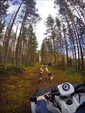 by welcometomyworld, Views[242]