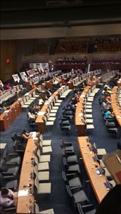 by welcometomyworld, Views[265]