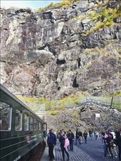 by welcometomyworld, Views[251]