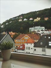 by welcometomyworld, Views[272]