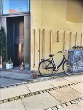 by welcometomyworld, Views[382]