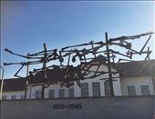 by welcometomyworld, Views[262]