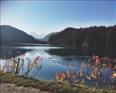 by welcometomyworld, Views[330]