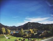 by welcometomyworld, Views[382]