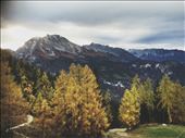 by welcometomyworld, Views[169]