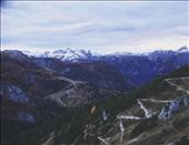 by welcometomyworld, Views[395]