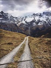 by welcometomyworld, Views[313]