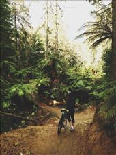 by welcometomyworld, Views[352]