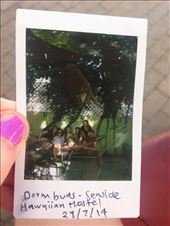 by welcometomyworld, Views[315]