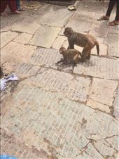 by welcometomyworld, Views[251]