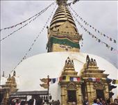 by welcometomyworld, Views[265]