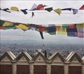 by welcometomyworld, Views[262]